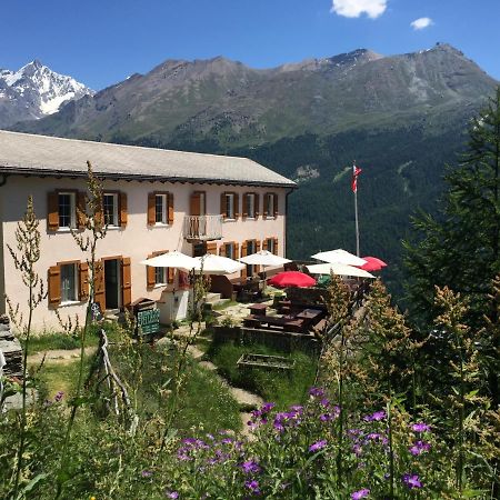 Edelweiss Mountain Guest House - 1 Hour Hike Up From Zermatt Station - On Hiking Trail - No Transport ภายนอก รูปภาพ